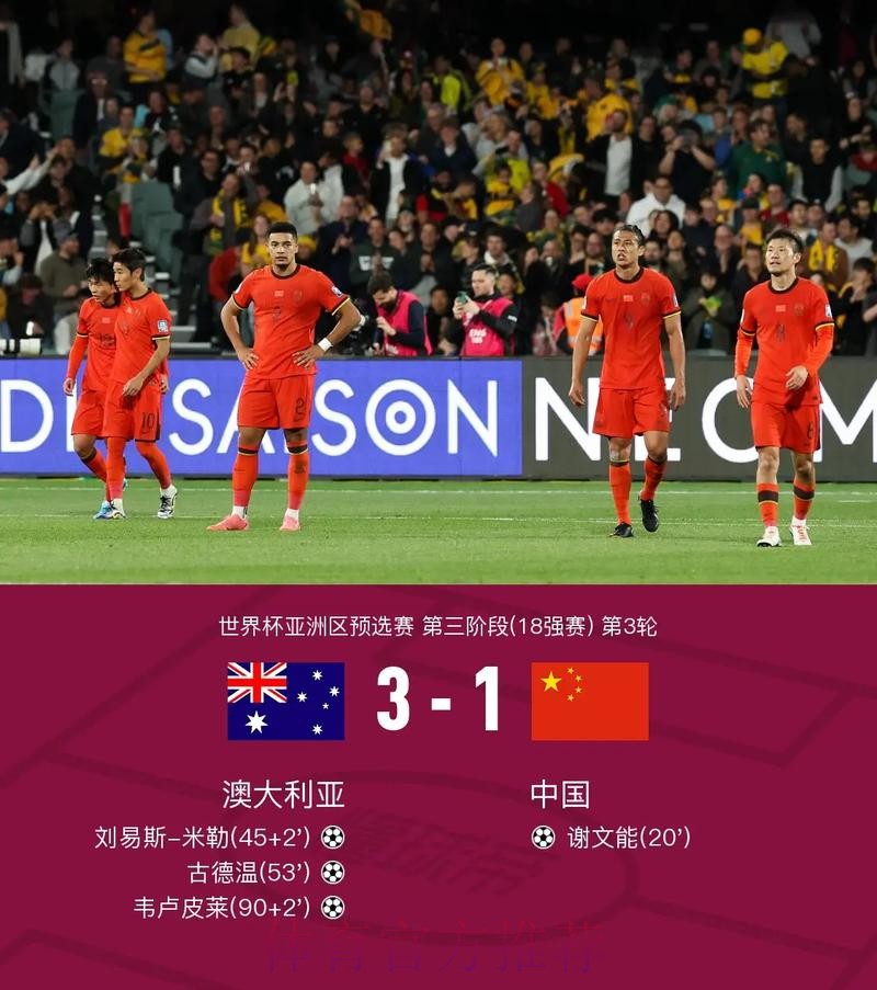 世界杯比分实时入口地址